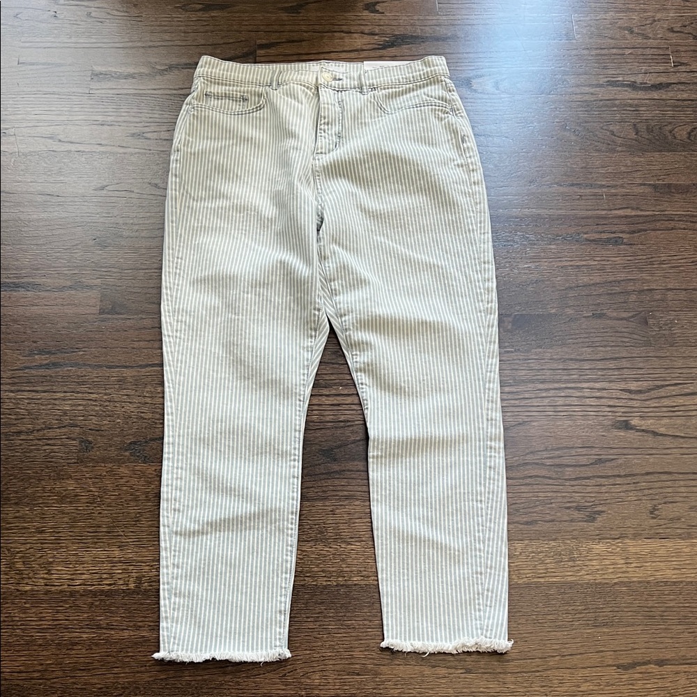 Loft Striped Women's Jeans size 10, NWT